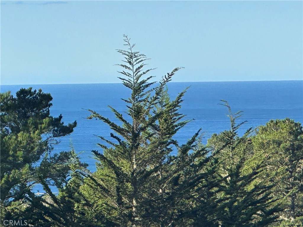 https://media.crmls.org/medias/491c85f2-eaa8-40dd-bf26-8764c7e56d06.jpg?preset=X-Large
