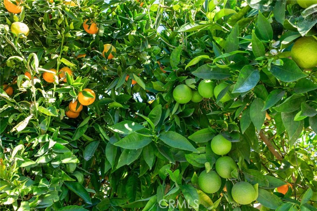 Detail Gallery Image 21 of 22 For 509 S Glenarbor, Santa Ana,  CA 92704 - 3 Beds | 2 Baths