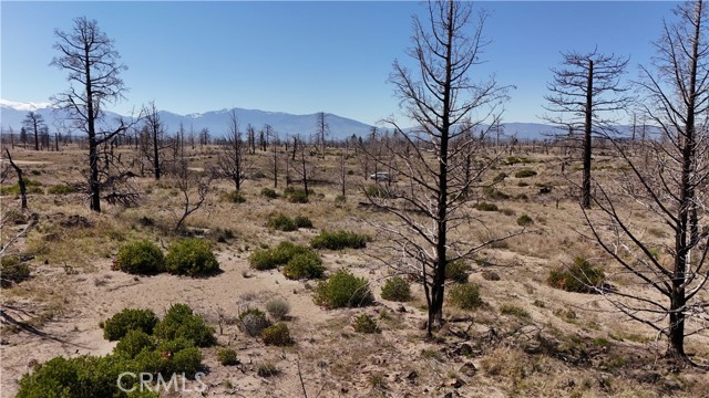 Detail Gallery Image 16 of 23 For 34 Blk 43 Lot 34 Heinzelman Dr., Montague,  CA 96064 - – Beds | – Baths