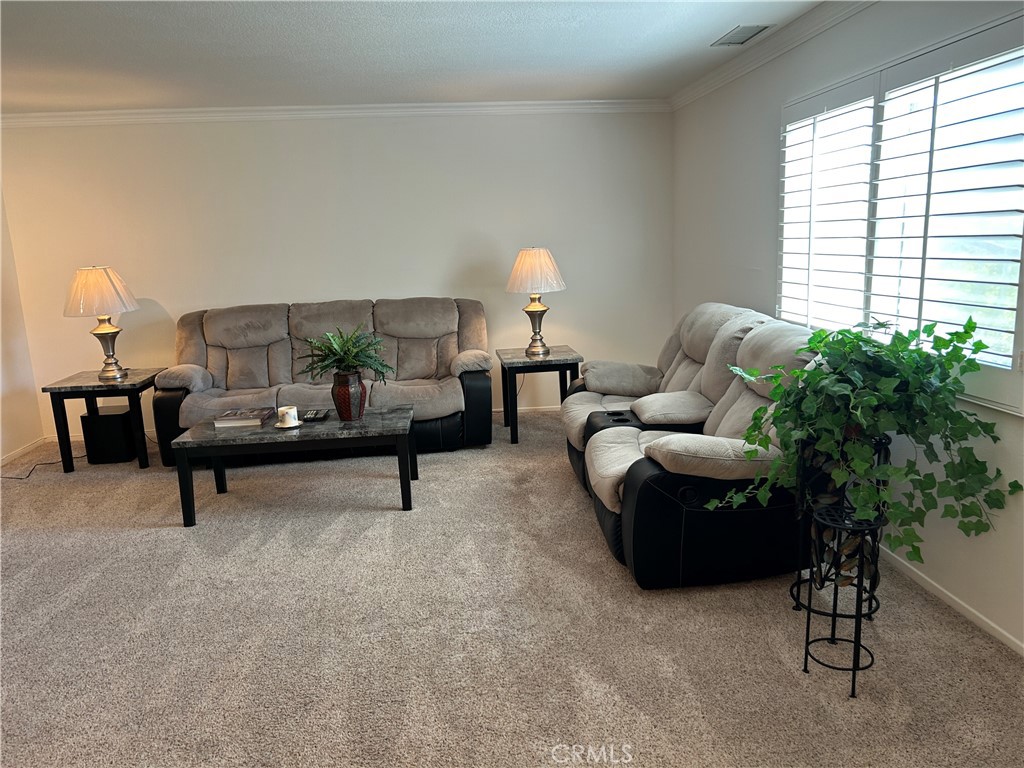 4920a5b3 5a52 430b B8bf B5ba06c85c36