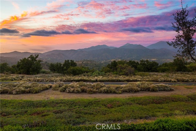 37 Lobelia, Rancho Santa Margarita CA: https://media.crmls.org/medias/4923c2d4-174d-49e2-95fc-dbc78701fe80.jpg