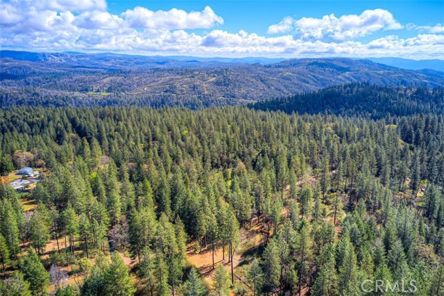 Detail Gallery Image 47 of 52 For 712 Bloomer Hill, Berry Creek,  CA 95916 - 2 Beds | 1/1 Baths