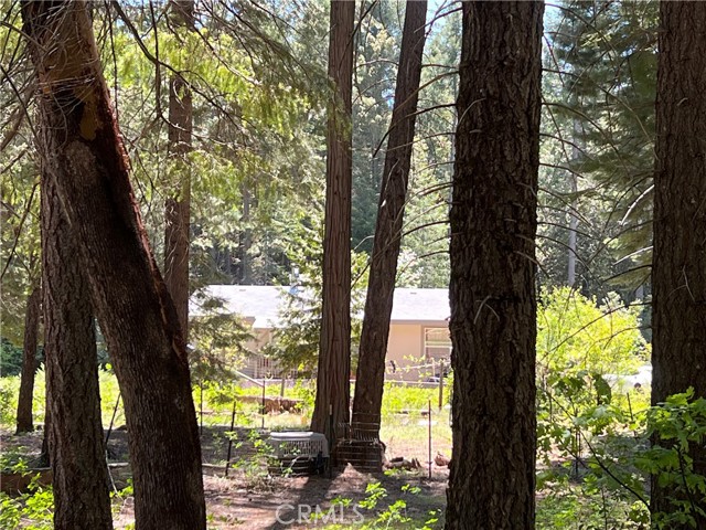 282 Bamford Way, Forbestown, CA, 95941 282 Bamford Way, Forbestown, CA, 95941