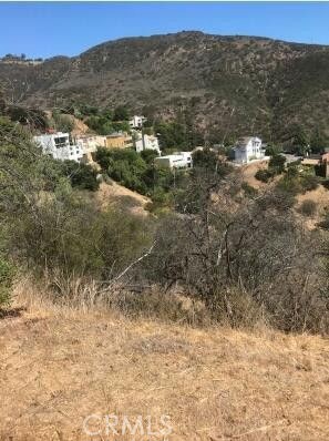 1 Latigo Cyn & Ocean View, Malibu CA: https://media.crmls.org/medias/4925d86e-cfd2-42c9-b162-286101445d93.jpg