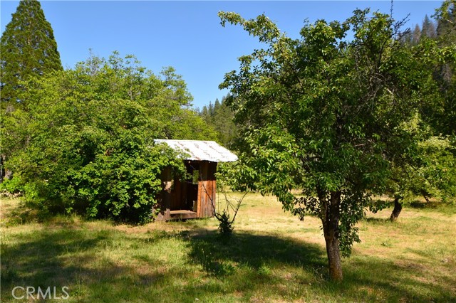 50721 State Highway 96, Klamath River CA: https://media.crmls.org/medias/492bfd13-c437-4a68-855d-982c68ff0749.jpg