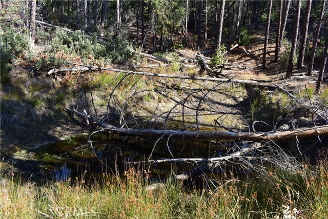 Detail Gallery Image 19 of 48 For 0 Incense Cedar Trl, Groveland,  CA 95321 - – Beds | – Baths