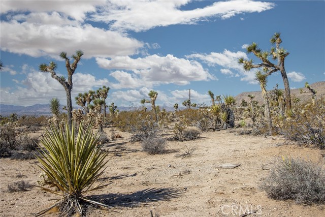 5292 Marvin Drive, Yucca Valley CA: https://media.crmls.org/medias/493aac86-e853-4ea5-94ee-d955164a7a51.jpg