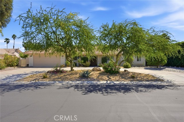 Image 2 of 35 For 42550 Lima Hall Road