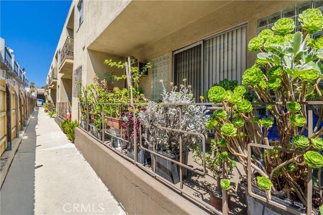 523 E Hazel Street, Inglewood CA: https://media.crmls.org/medias/493d3886-10d3-4238-92a8-b3aba3369ed9.jpg