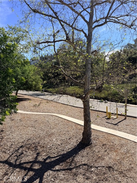 Detail Gallery Image 10 of 11 For 23551 Avenida La Caza #129 #C,  Coto de Caza,  CA 92679 - 0 Beds | 1 Baths