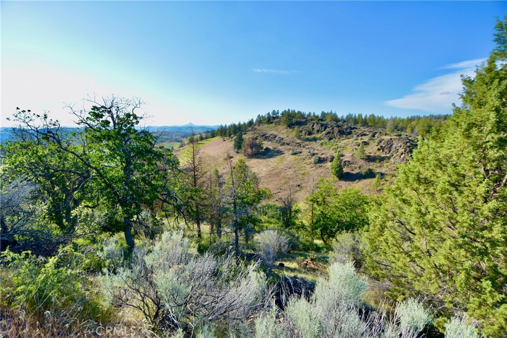0 Desavado, Montague, CA 96064