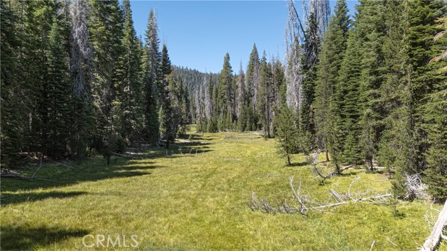 67922 Beasore Road, Bass Lake CA: https://media.crmls.org/medias/4944ed98-81ce-4ef6-881c-00d6acfaaf9c.jpg