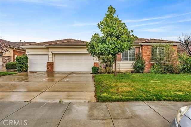 Front Image Thumbnail for CRCV26032799