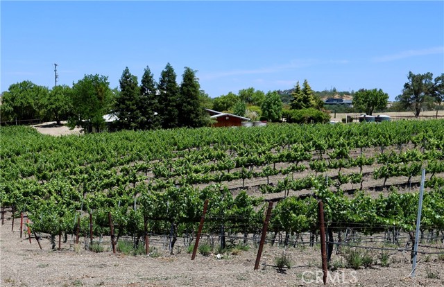 5575 El Pomar Drive, Templeton CA: https://media.crmls.org/medias/494c2412-45f7-48ea-841e-6a2dfb830726.jpg