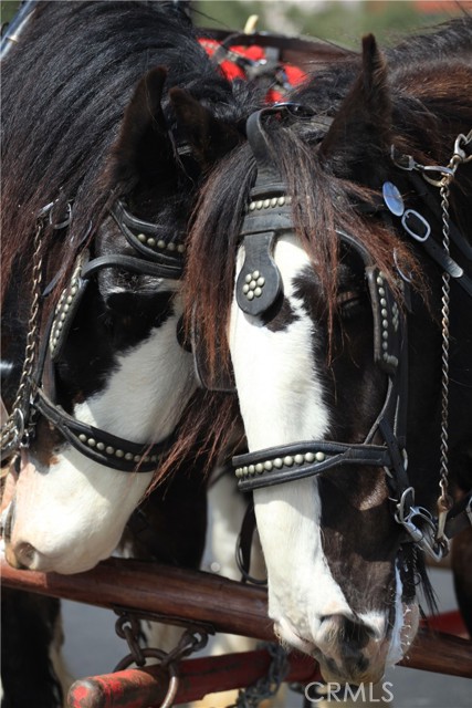 Detail Gallery Image 28 of 30 For 28111 via Rueda, San Juan Capistrano,  CA 92675 - 4 Beds | 2/1 Baths