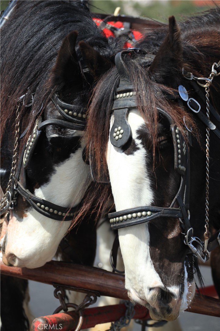 MLS #OC25227880 image #27