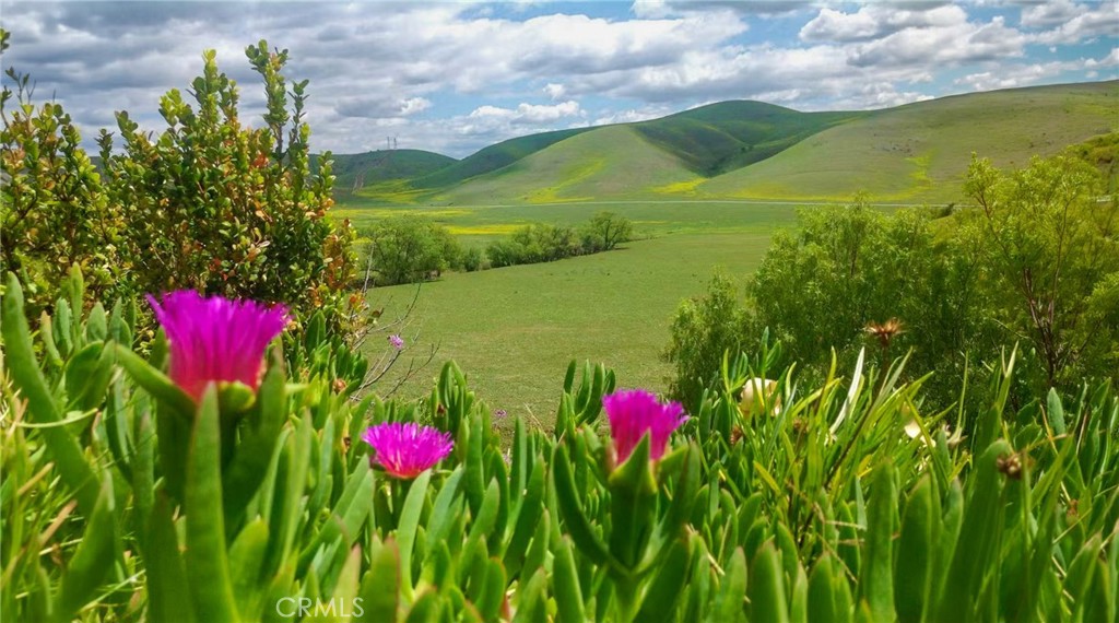 https://media.crmls.org/medias/49502dc0-4a3d-4368-bb43-a2b273f5f3c3.jpg?preset=X-Large