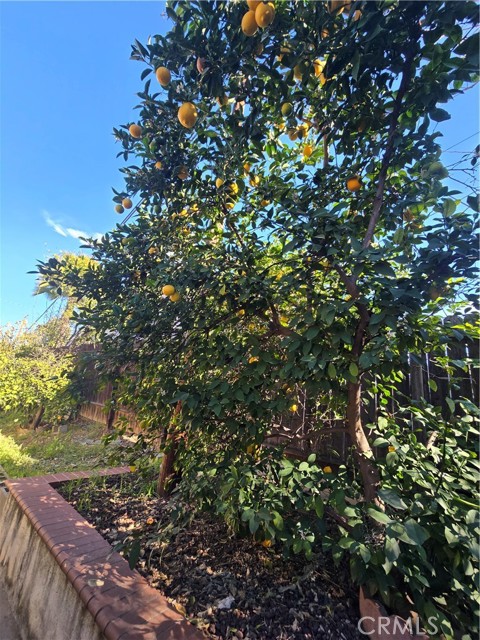 Detail Gallery Image 16 of 21 For 3030 E Valley View Ave, West Covina,  CA 91792 - 4 Beds | 2 Baths