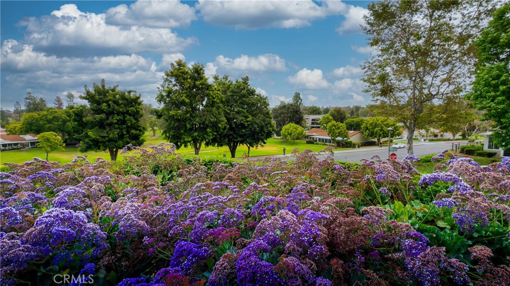 4954d123 7b97 45bf 9d26 84b54d193b8d