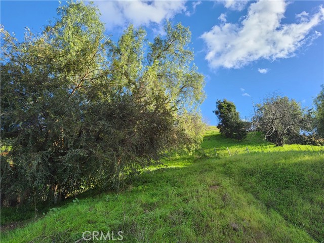 2931 Thomas Street, Los Angeles, California 90031, ,Land,For Sale,2931 Thomas Street,CRPW24023934