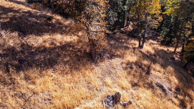 Detail Gallery Image 15 of 40 For 0 Mojave River Rd, Cedarpines Park,  CA 92322 - – Beds | – Baths