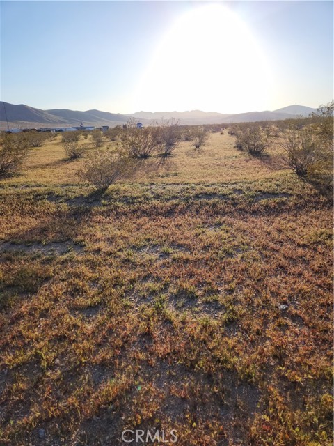 Detail Gallery Image 5 of 8 For 0 Caspar Rd, Barstow,  CA 92311 - – Beds | – Baths