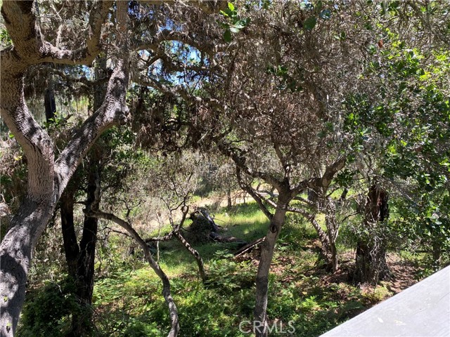 Detail Gallery Image 50 of 54 For 2598 Emerson Rd, Cambria,  CA 93428 - 2 Beds | 2 Baths