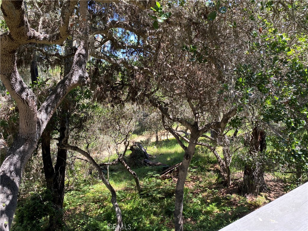 https://media.crmls.org/medias/495a902f-ac31-4bac-8a87-56b2e9a966de.jpg?preset=X-Large