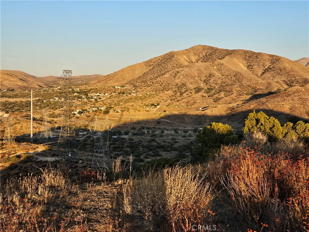 MLS #DW25180755 image #9