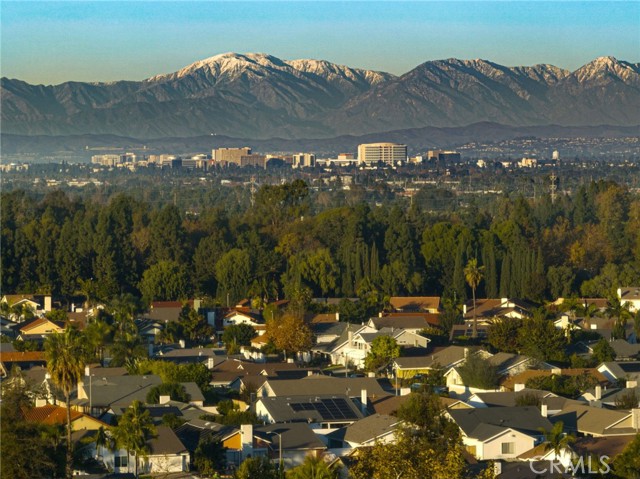 Detail Gallery Image 41 of 42 For 985 Begonia Ave, Costa Mesa,  CA 92626 - 3 Beds | 3 Baths