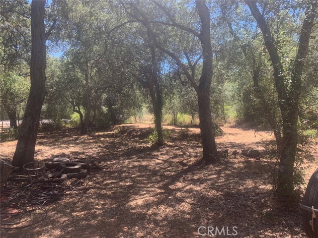 0 Avenida Perla Bonita, Murrieta CA: https://media.crmls.org/medias/4965dca6-f31c-4fcd-8a82-fb29873675b4.jpg