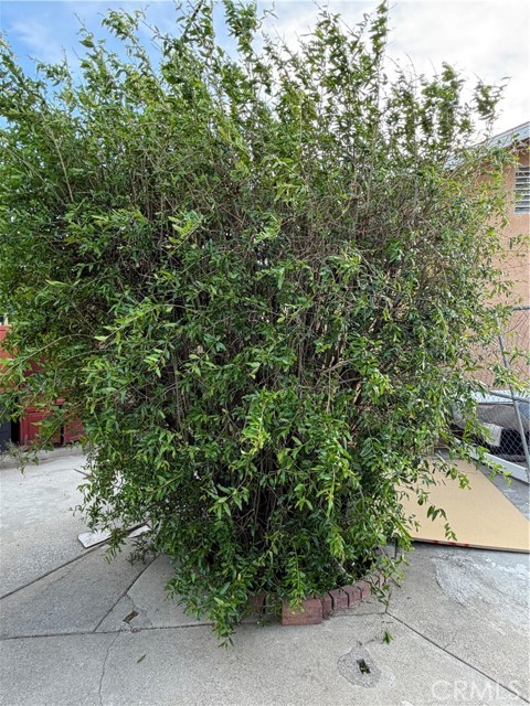 Detail Gallery Image 20 of 27 For 17312 Miller Ave, Fontana,  CA 92336 - 6 Beds | 6 Baths