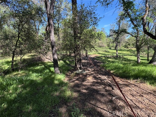 Detail Gallery Image 19 of 26 For 3465 Foothill Bld, Oroville,  CA 95966 - – Beds | – Baths