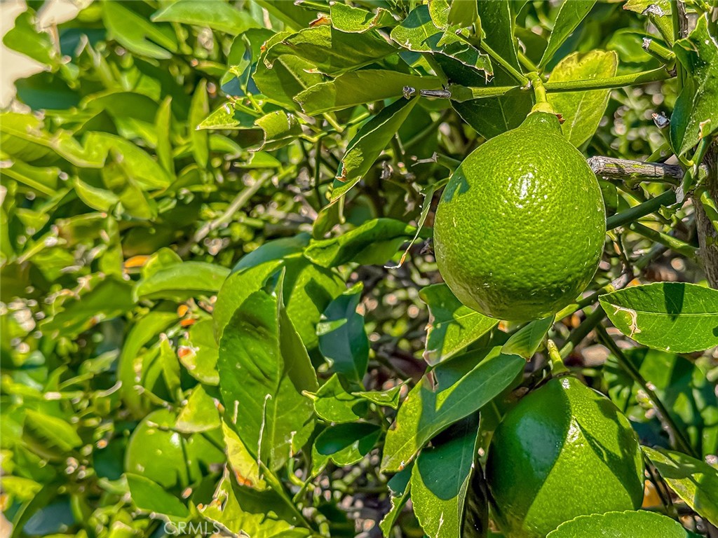 https://media.crmls.org/medias/49824356-7201-403a-8415-e98b44f0584f.jpg?preset=X-Large