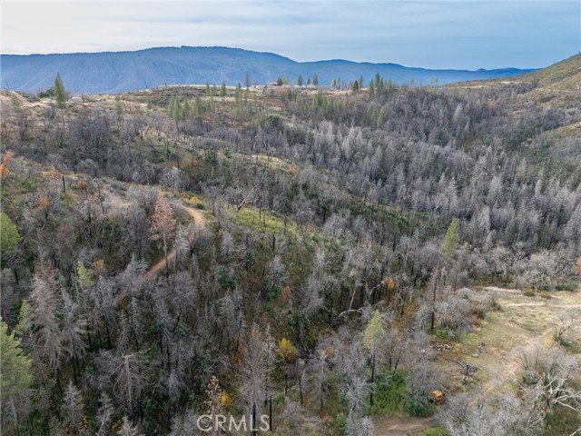 2231 Lumpkin Road, Oroville, California 95966, ,Land,For Sale,2231 Lumpkin Road,CRSN23227176