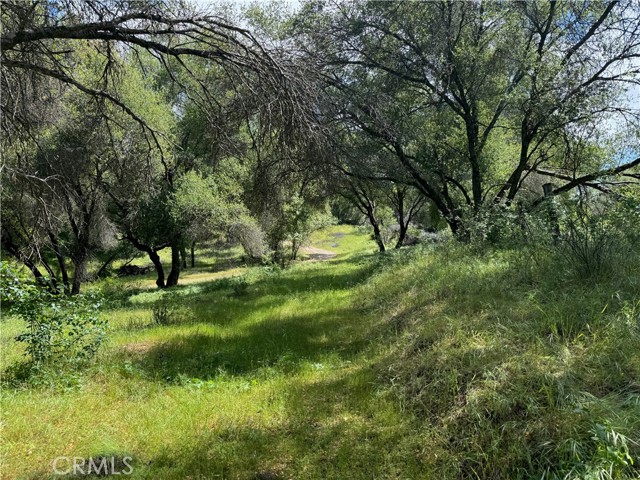 4516 Hirsch Road, Mariposa CA: https://media.crmls.org/medias/4988e272-9994-4681-ae4e-0a8b8c92d699.jpg