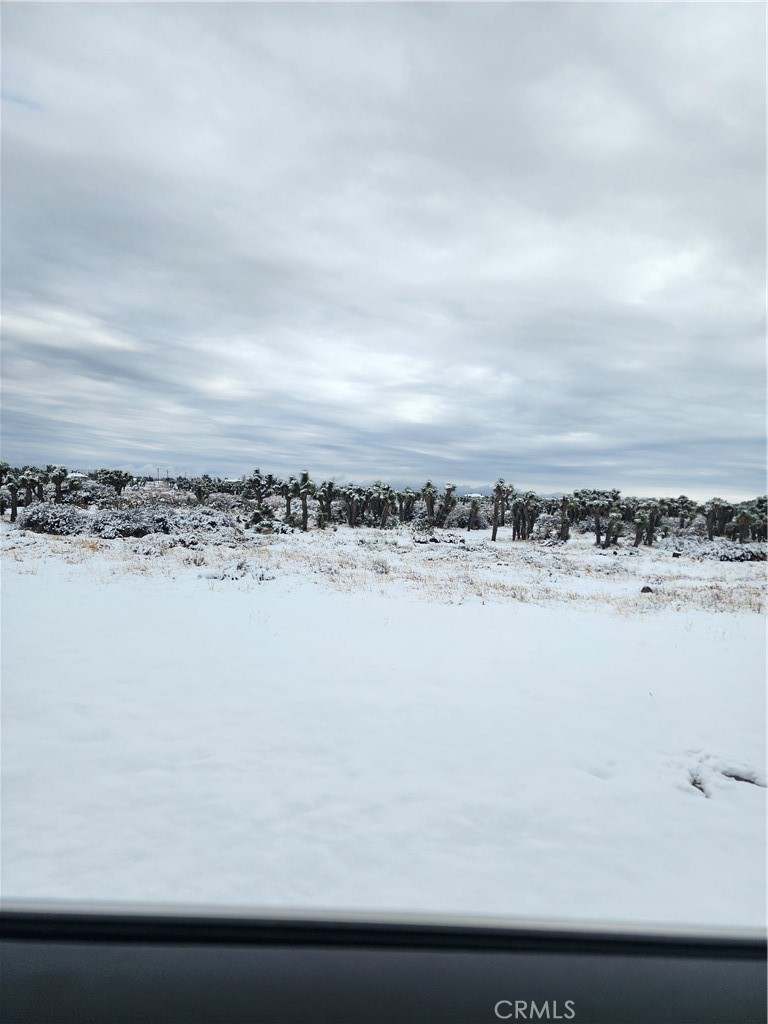 MLS #CV25255822 image #20