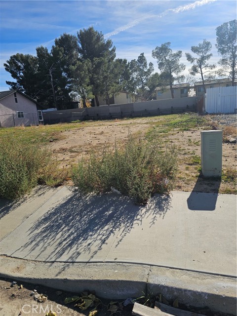 Front Image Thumbnail for CRSR25279836