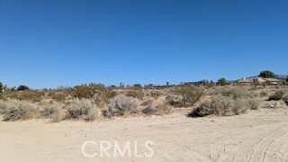 Detail Gallery Image 8 of 8 For 0 Del Rosa, Pinon Hills,  CA 92372 - – Beds | – Baths