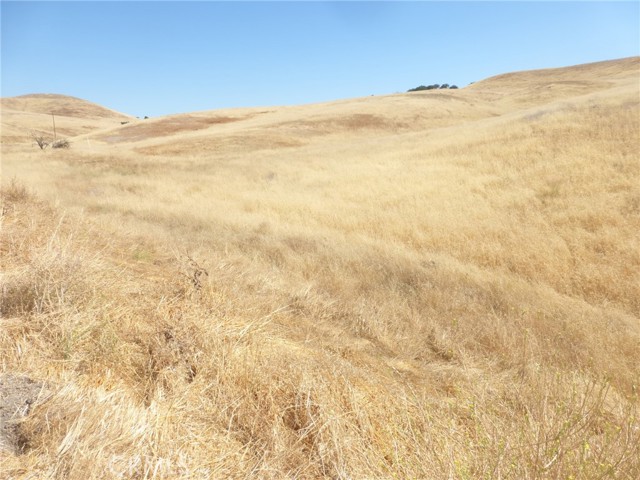 Detail Gallery Image 14 of 15 For 0 Douglas Rd. (Lot 43), San Miguel,  CA 93451 - – Beds | – Baths