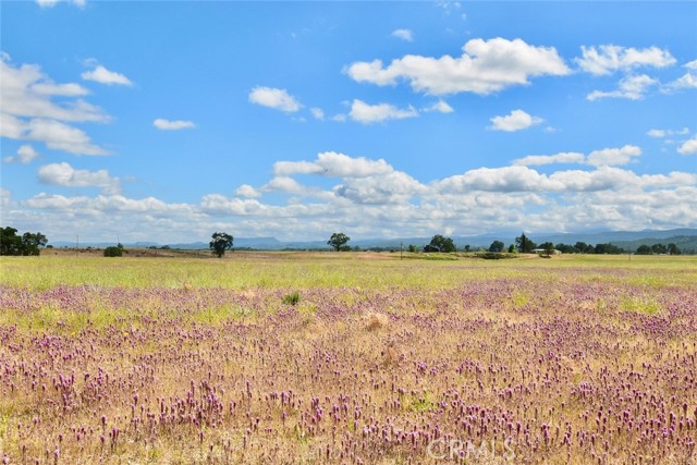 50645 Lockwood Road, Lockwood CA: https://media.crmls.org/medias/4995f870-7b11-4517-aa24-84cf0db4707c.jpg