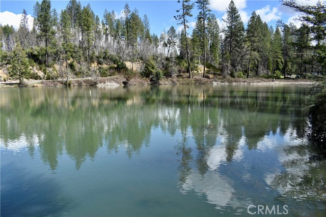 Detail Gallery Image 46 of 52 For 0 Toyon Trl, Berry Creek,  CA 95916 - – Beds | – Baths