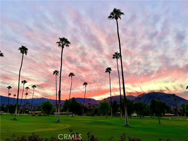 Detail Gallery Image 34 of 42 For 46125 Burroweed Ln, Palm Desert,  CA 92260 - 2 Beds | 2 Baths