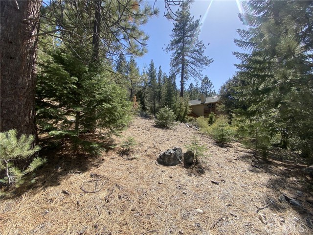 Detail Gallery Image 6 of 6 For 15028 Chestnut Ct, –,  CA 93222 - – Beds | – Baths
