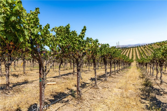 4825 Mill Road, Paso Robles CA: https://media.crmls.org/medias/49a7bf74-86b6-41e6-be0e-ad453c99afa4.jpg