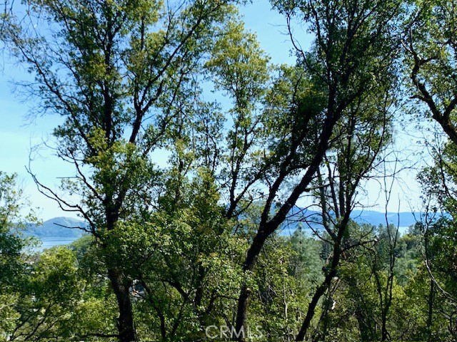 Detail Gallery Image 10 of 11 For 7333 Tehama, Nice,  CA 95464 - – Beds | – Baths