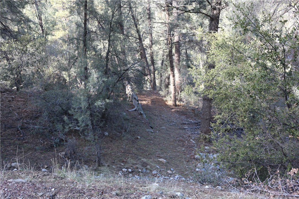 2516 Woodland Drive, Pine Mountain Club, CA 93222