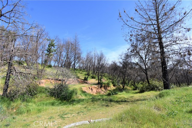 197 Edgehill Drive, Oroville, California 95966, ,Land,For Sale,197 Edgehill Drive,CROR22073384