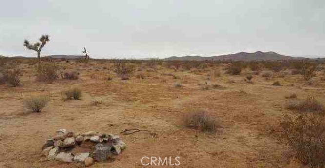MLS #WS25187752 image #8