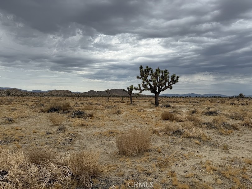 MLS #SR26165095 image #29